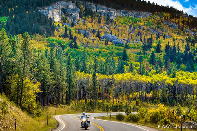 KiWAV motors 6 scenic routes - Vanocker Canyon Road